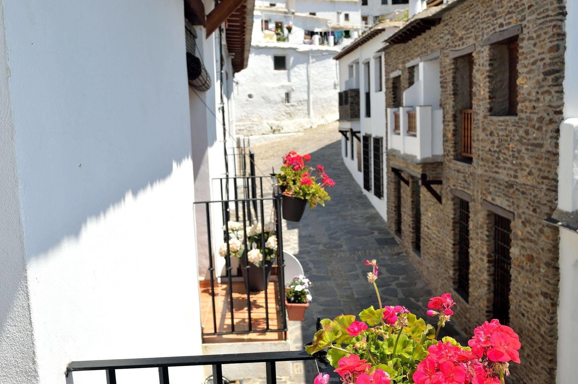 Hotel Rural Alfajia De Antonio Capileira Ngoại thất bức ảnh